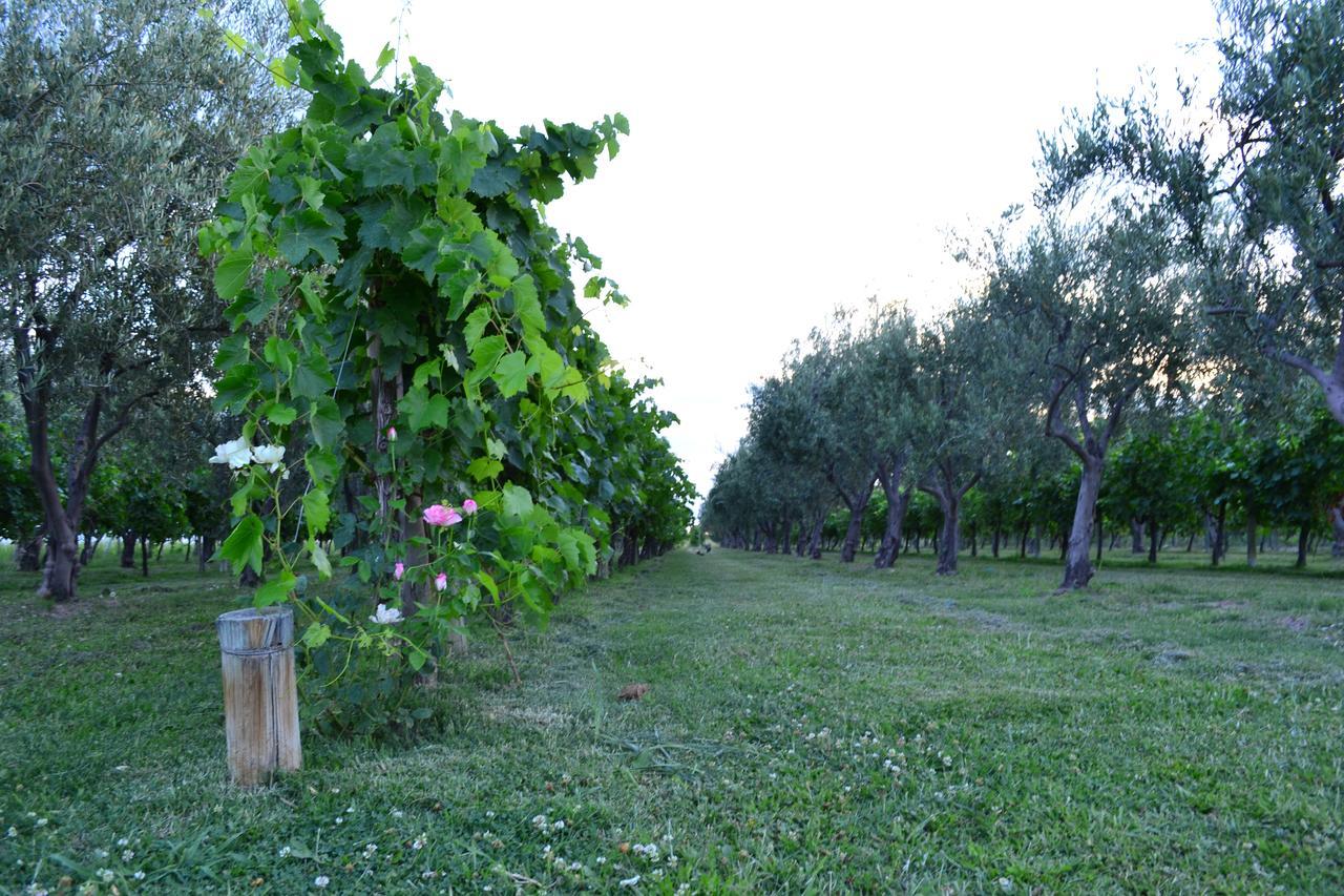 Finca Fisterra Maipú Esterno foto