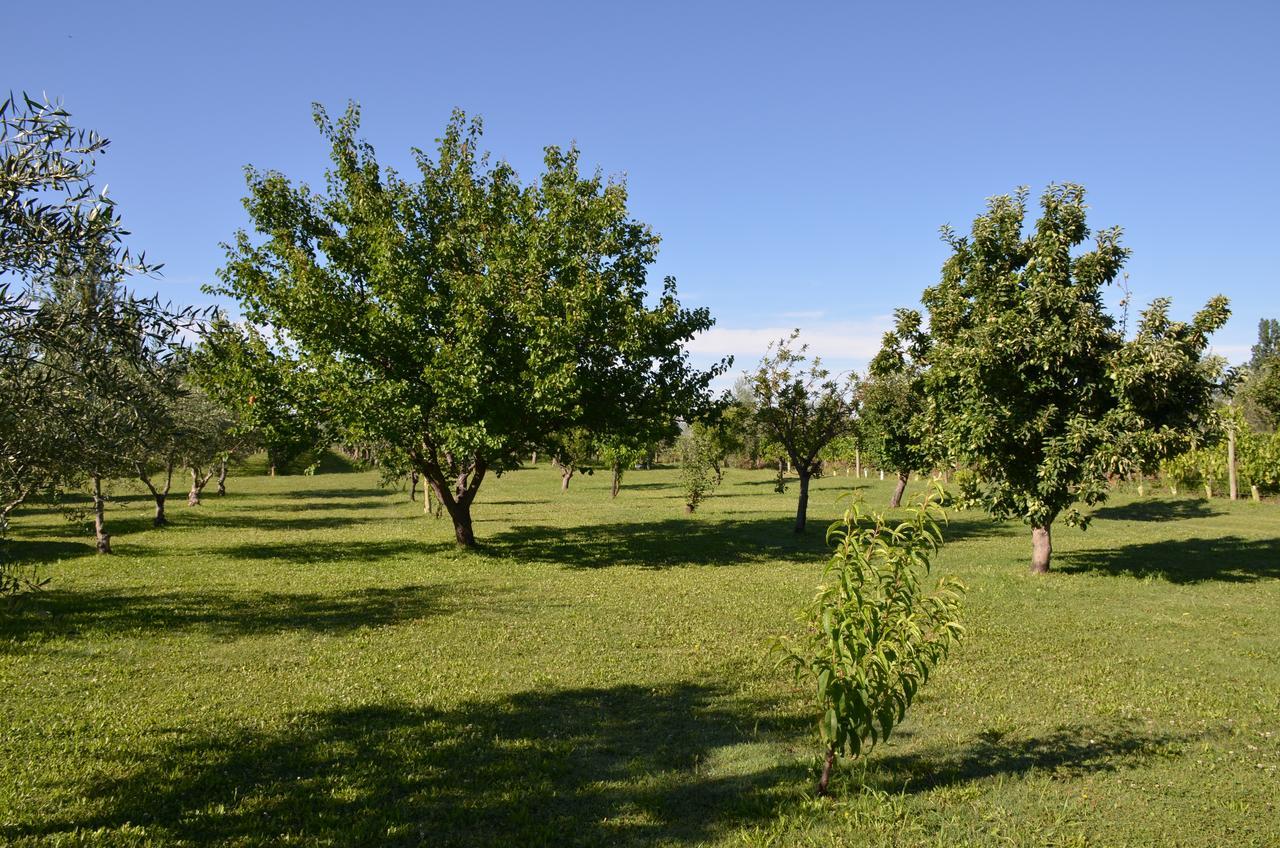 Finca Fisterra Maipú Esterno foto