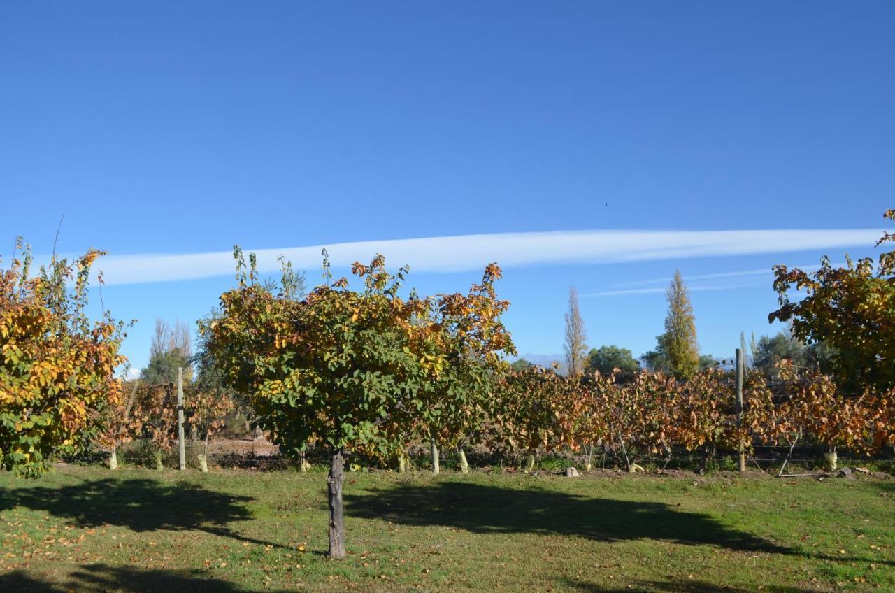 Finca Fisterra Maipú Esterno foto