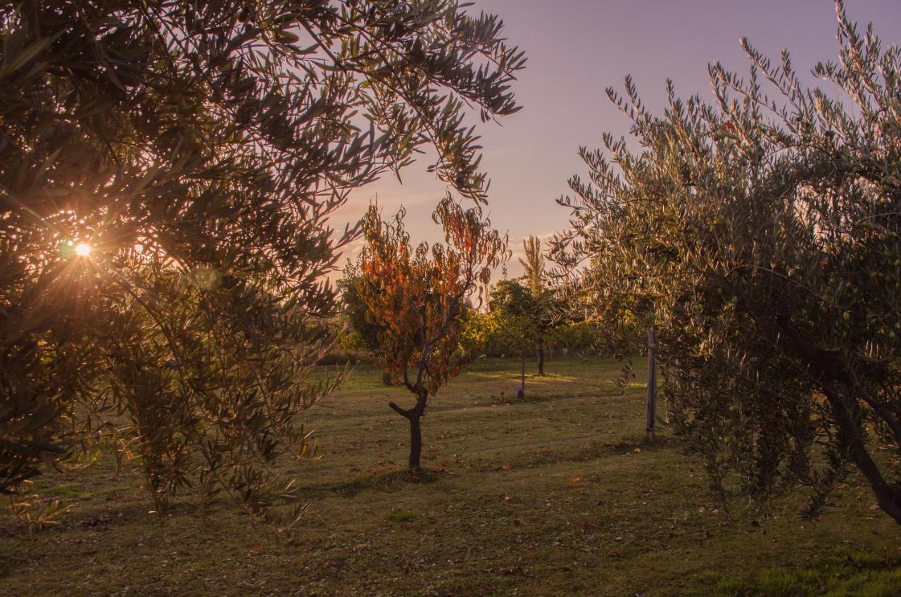 Finca Fisterra Maipú Esterno foto