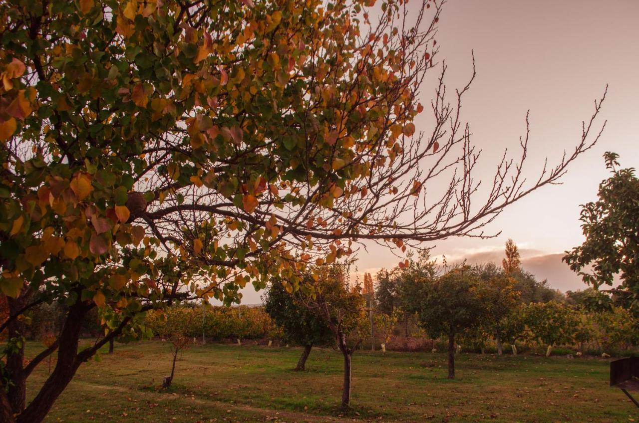 Finca Fisterra Maipú Esterno foto